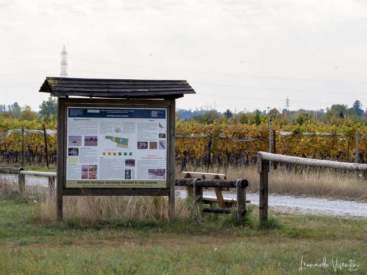 Biotopo naturale regionale Magredi di San Quirino