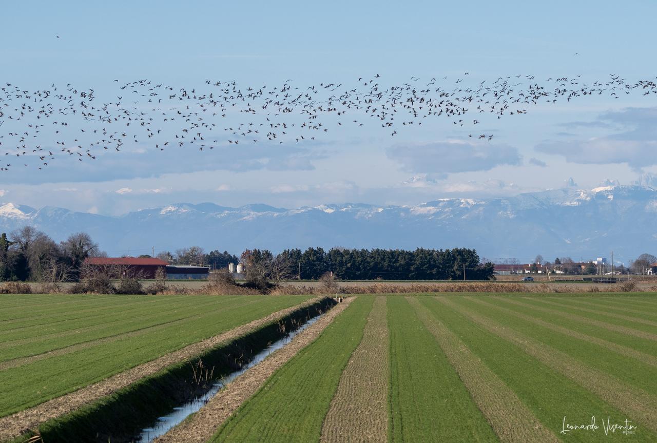 panorama e oche