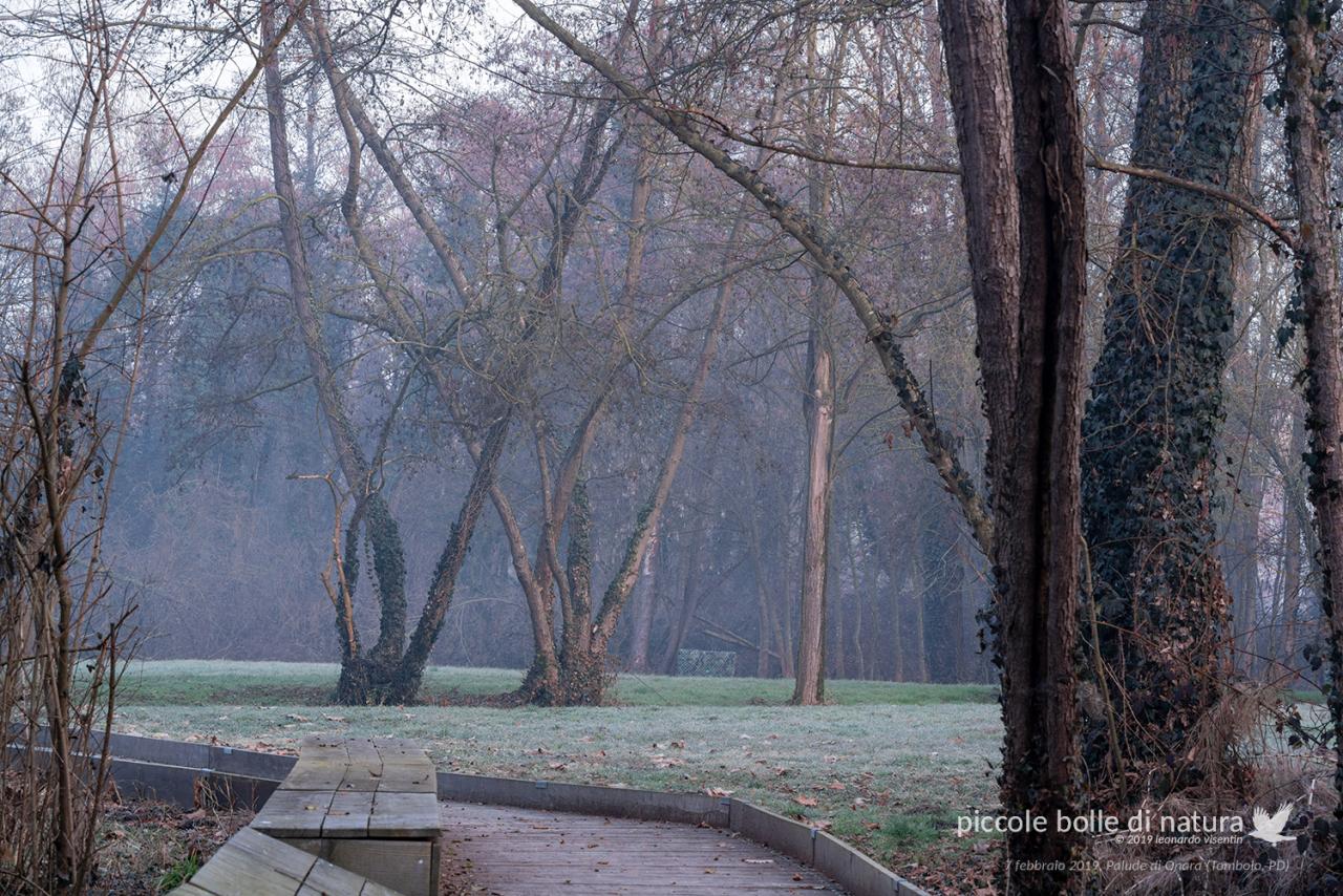 parco della palude