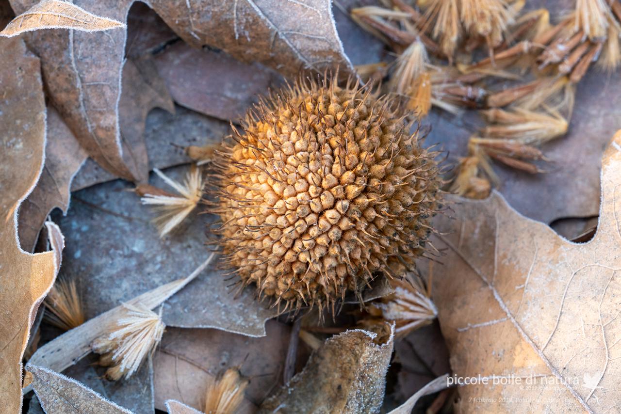 autunno