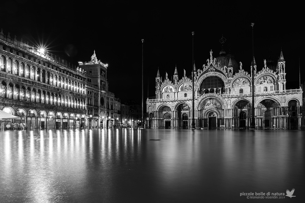 Venezia