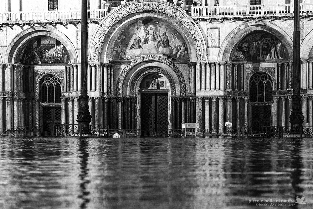 Venezia