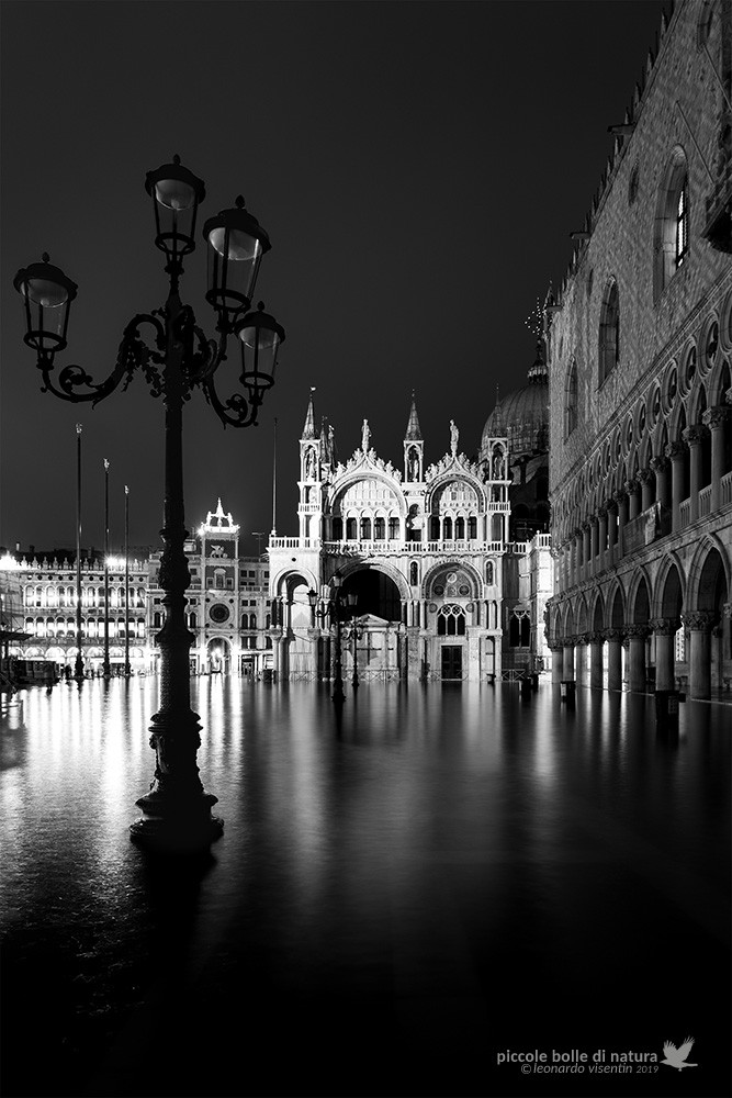 Venezia