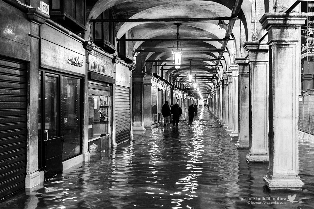 Venezia