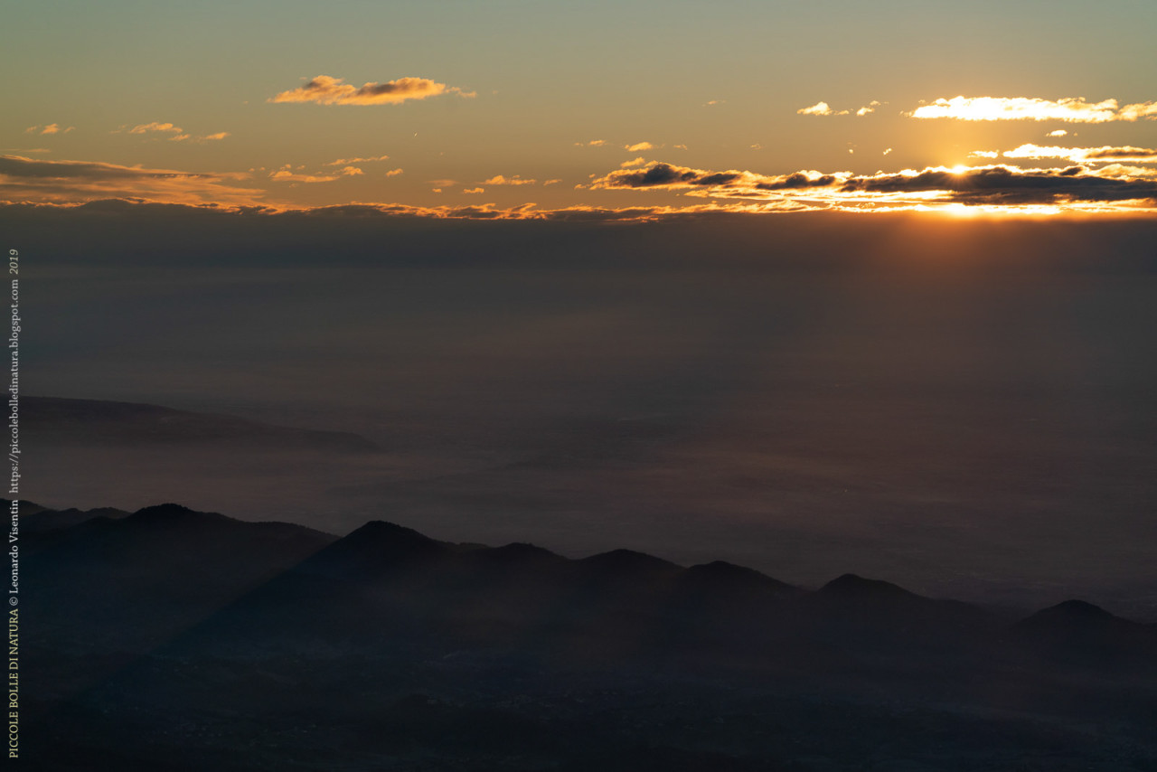 Vista su colli asolani all'alba