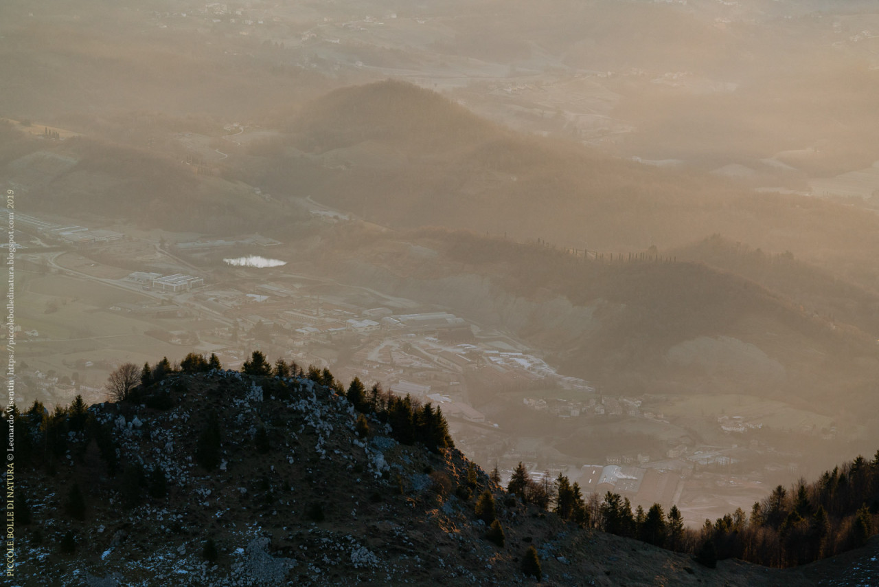 Vista su colli asolani e Salto della Capra in primo piano