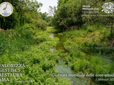 tergola
