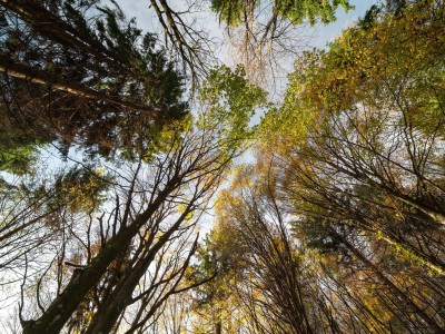 Autunno dal basso