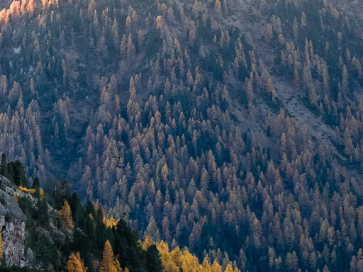 Tavolozza dell'alba