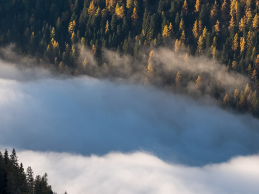 Nubi nella valle