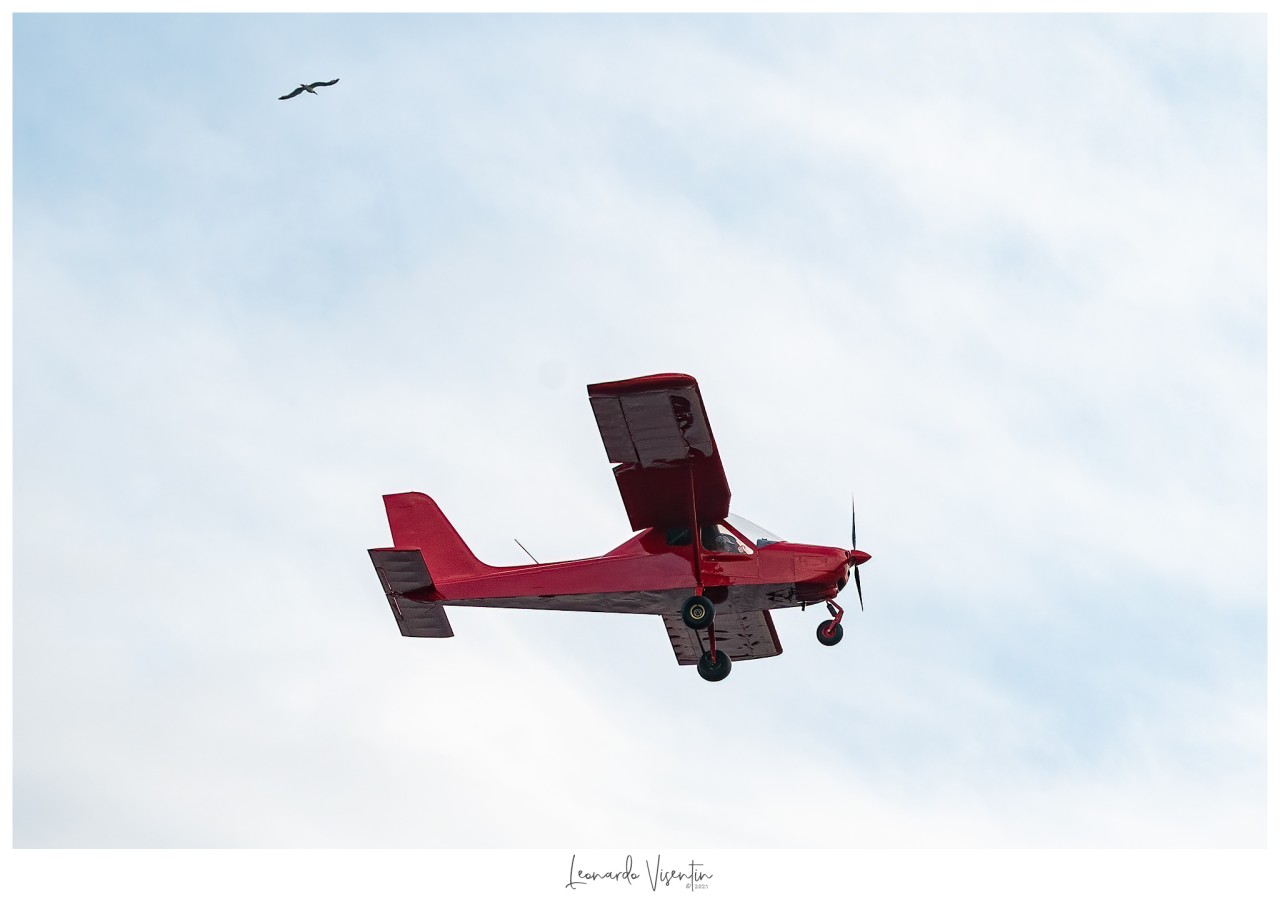 Aereo