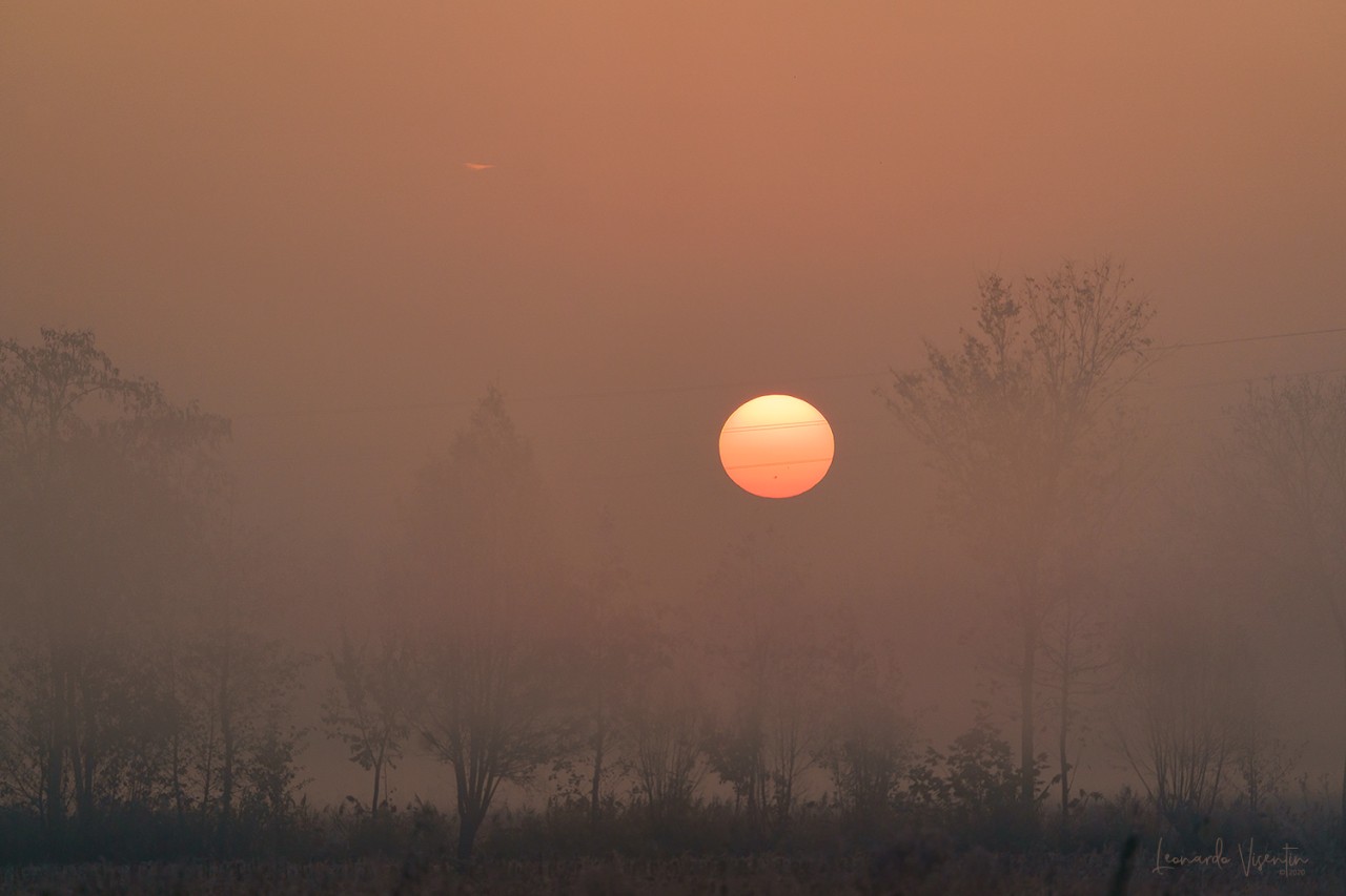Il richiamo della Palude Piccole bolle di natura