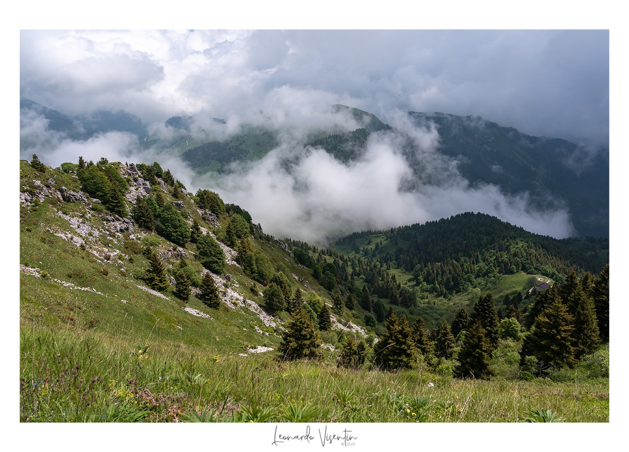 Paesaggio