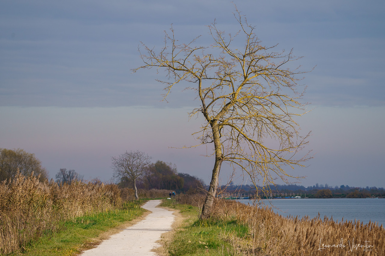 Paesaggio lagunare
