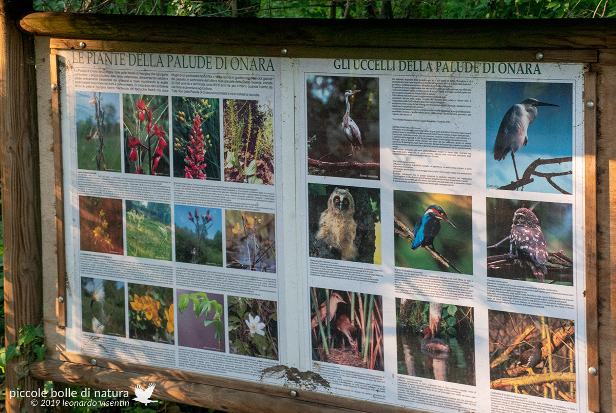Tabellone informativo sull'avifauna