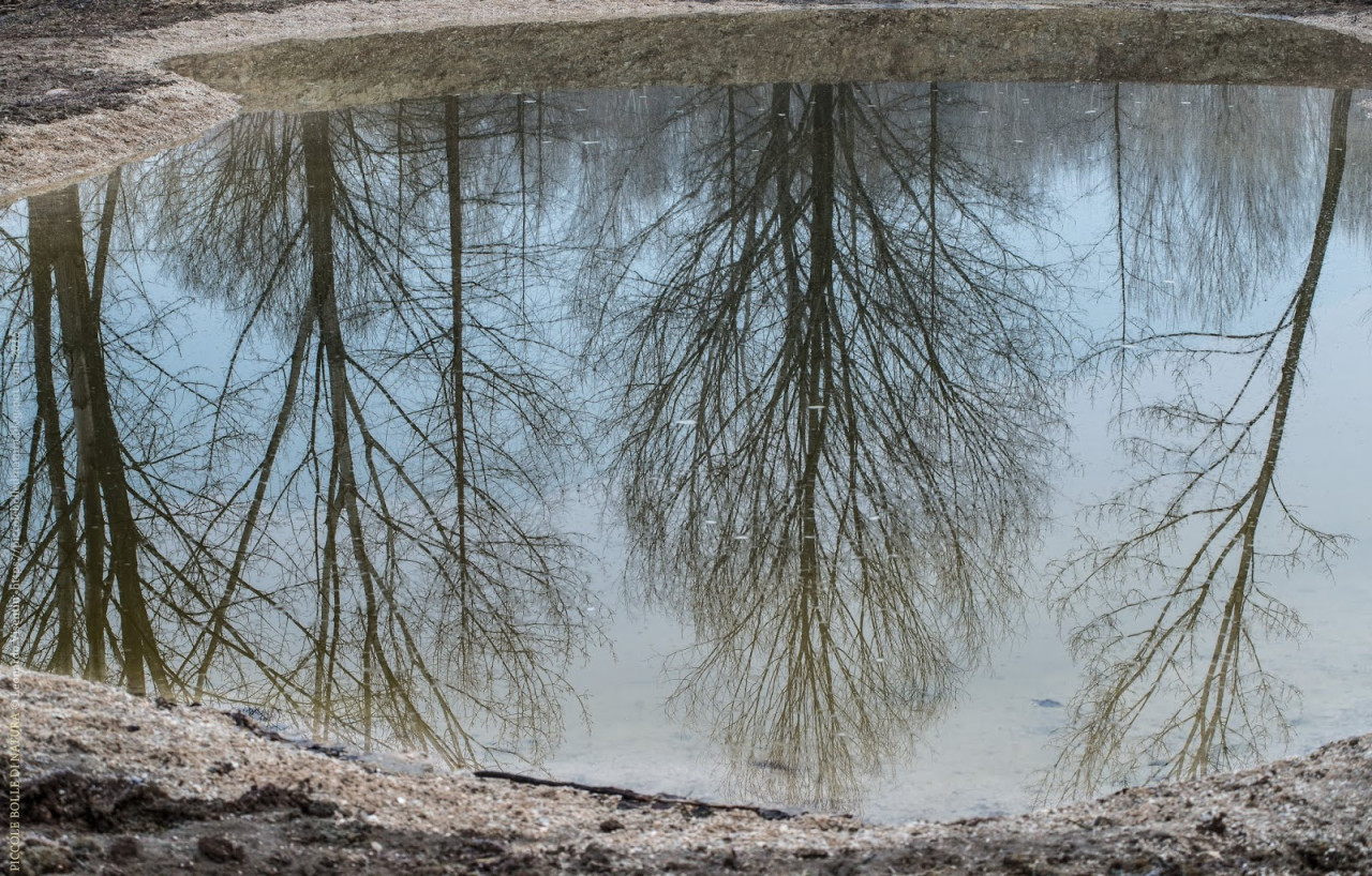 Riflessi nella pozza a sud-est