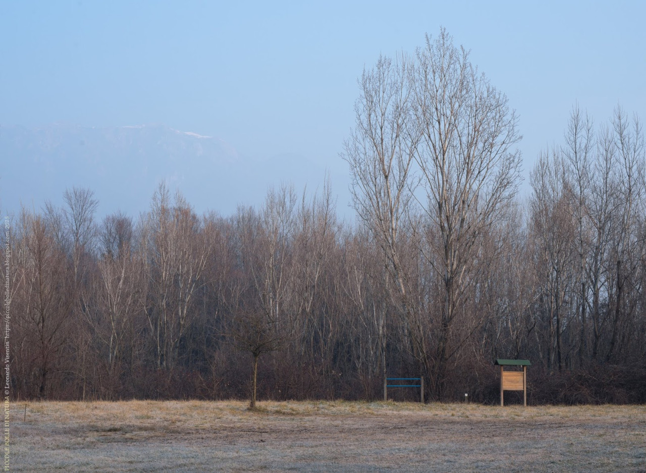Vista dal prato verde verso nord e il Monte Grappa