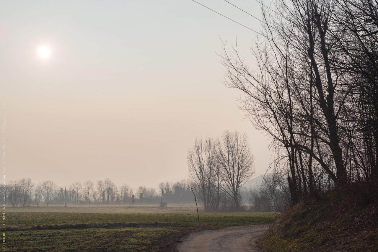 Paesaggio nella bruma