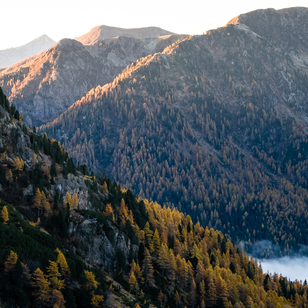 Tavolozza dell'alba