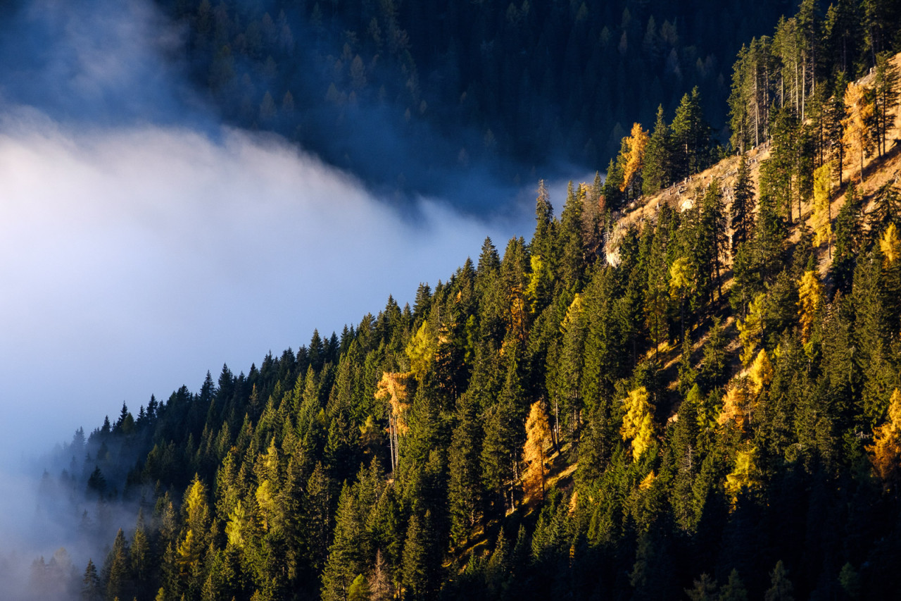 Spunta l'alba