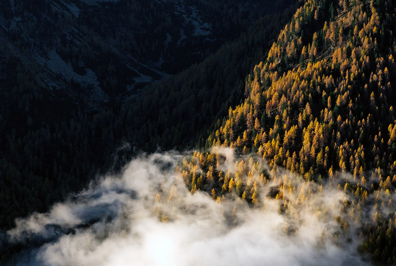 Tre colori all'alba