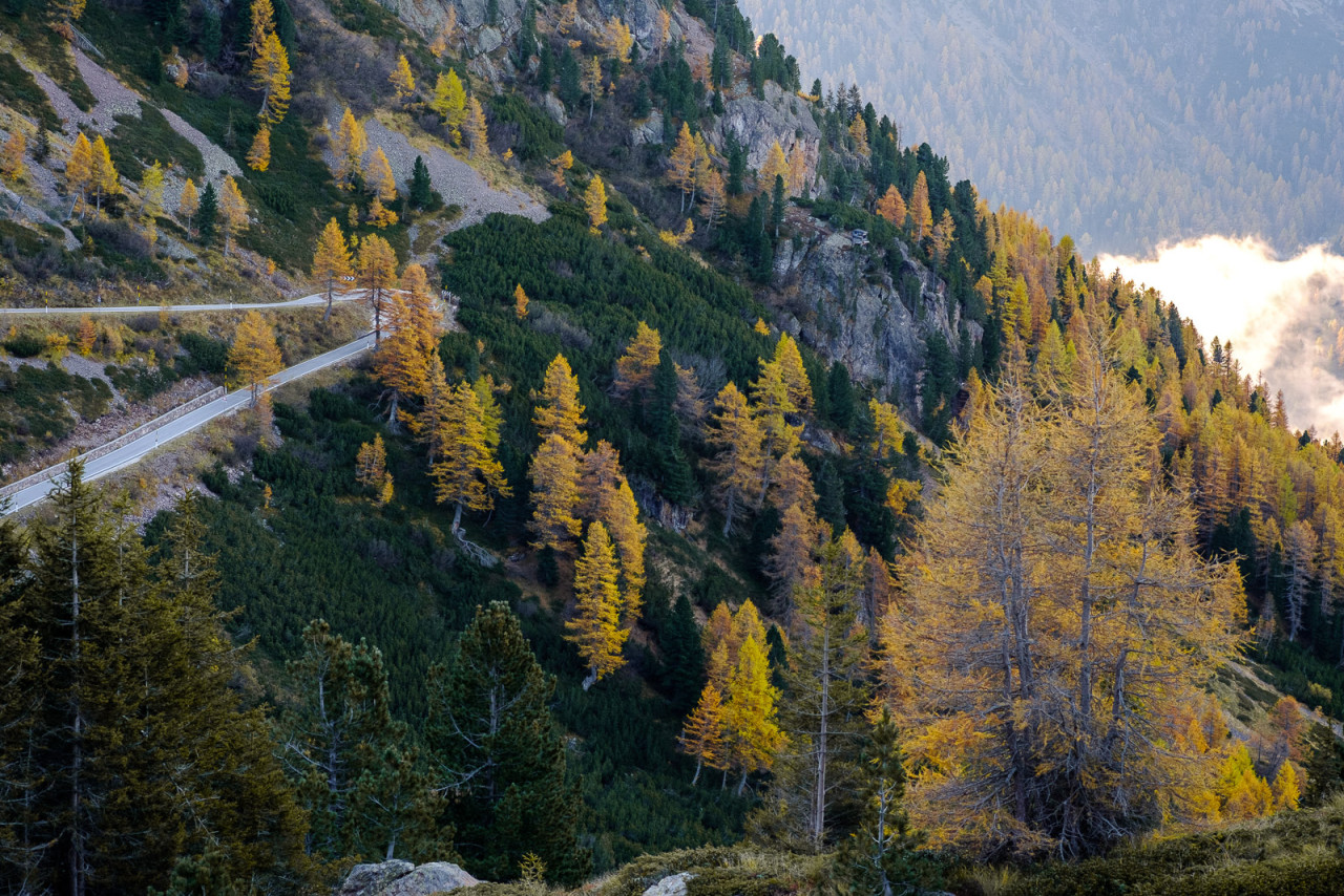 Salita al passo Manghen