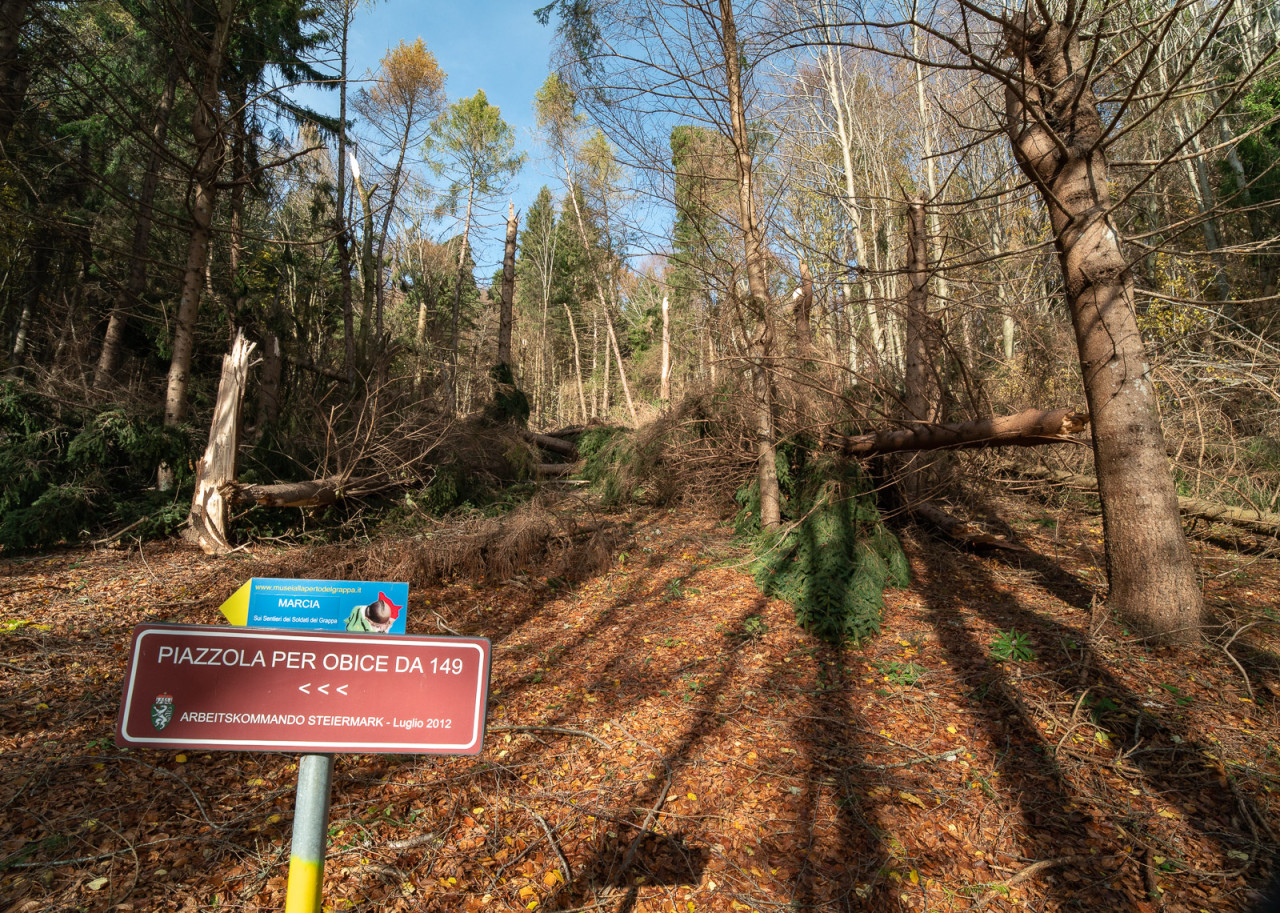 Post Vaia