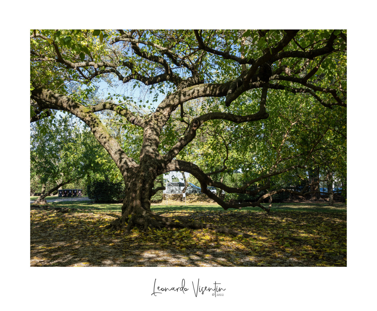 Parco Querini