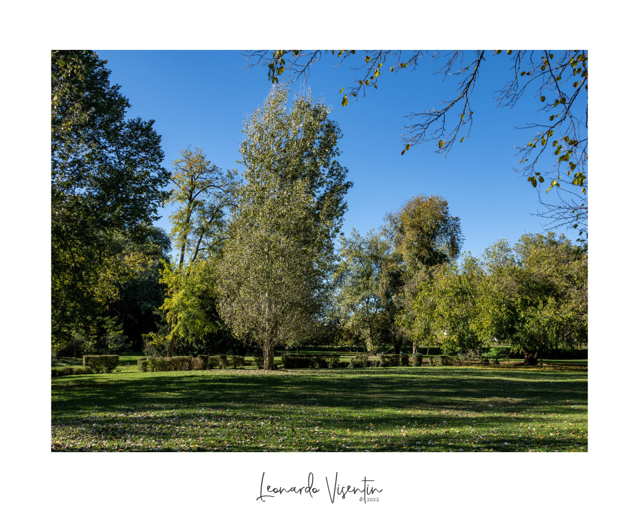 Parco Querini