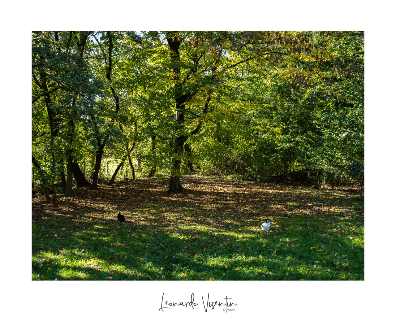 Parco Querini