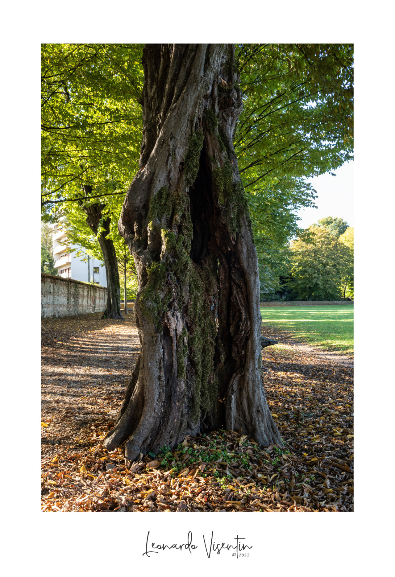 Parco Querini