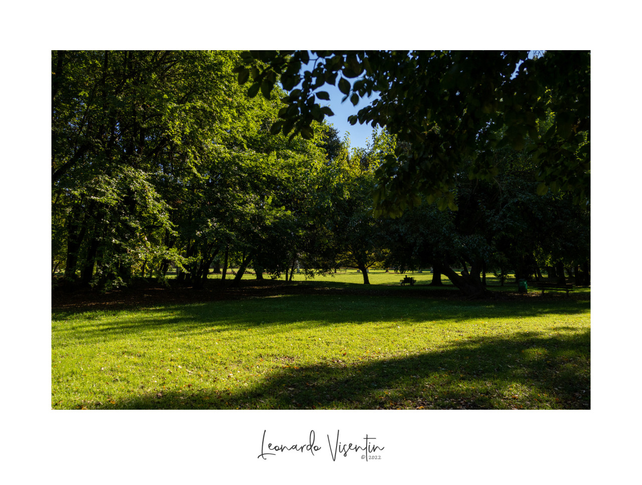 Parco Querini