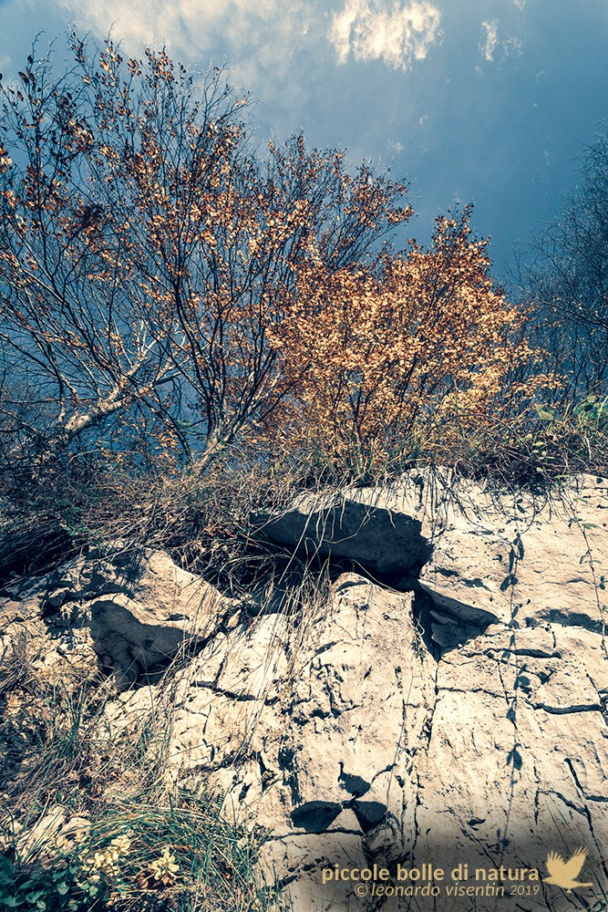 prima della tempesta