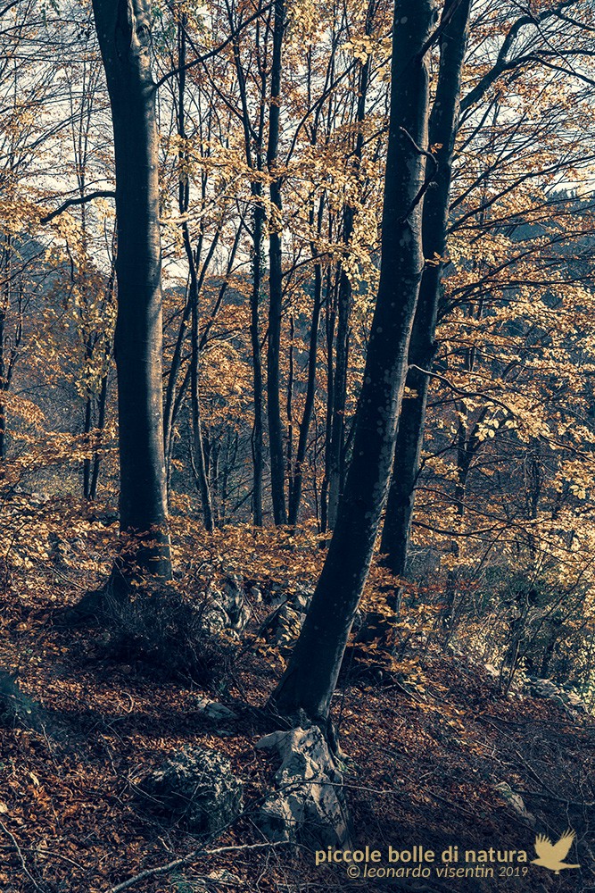 prima della tempesta