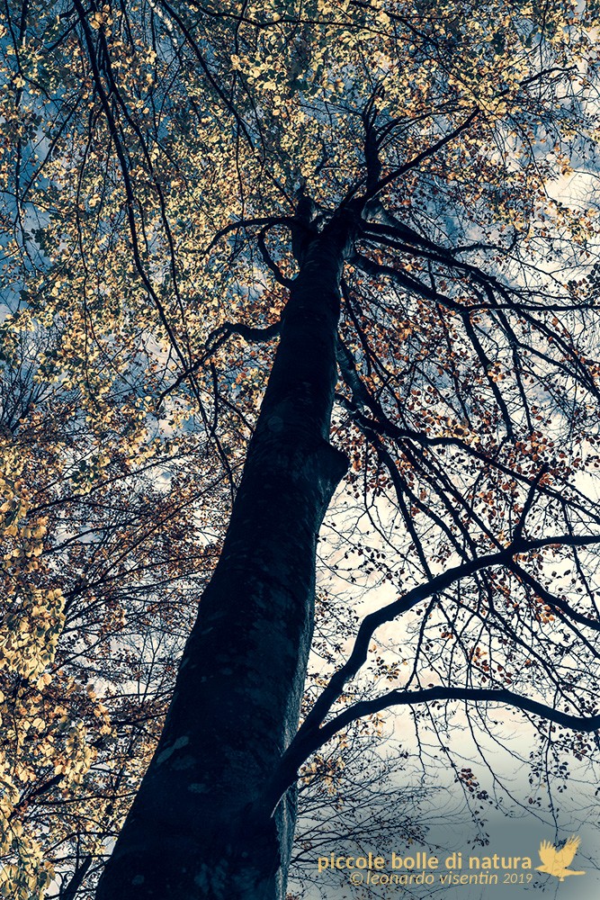 prima della tempesta