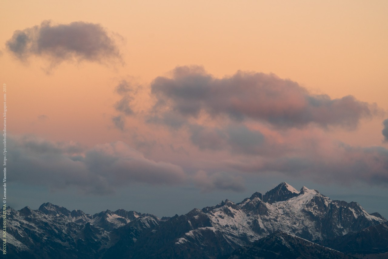 Cima d'Asta