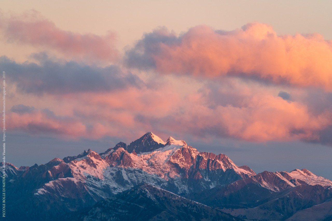 Cima d'Asta all'alba