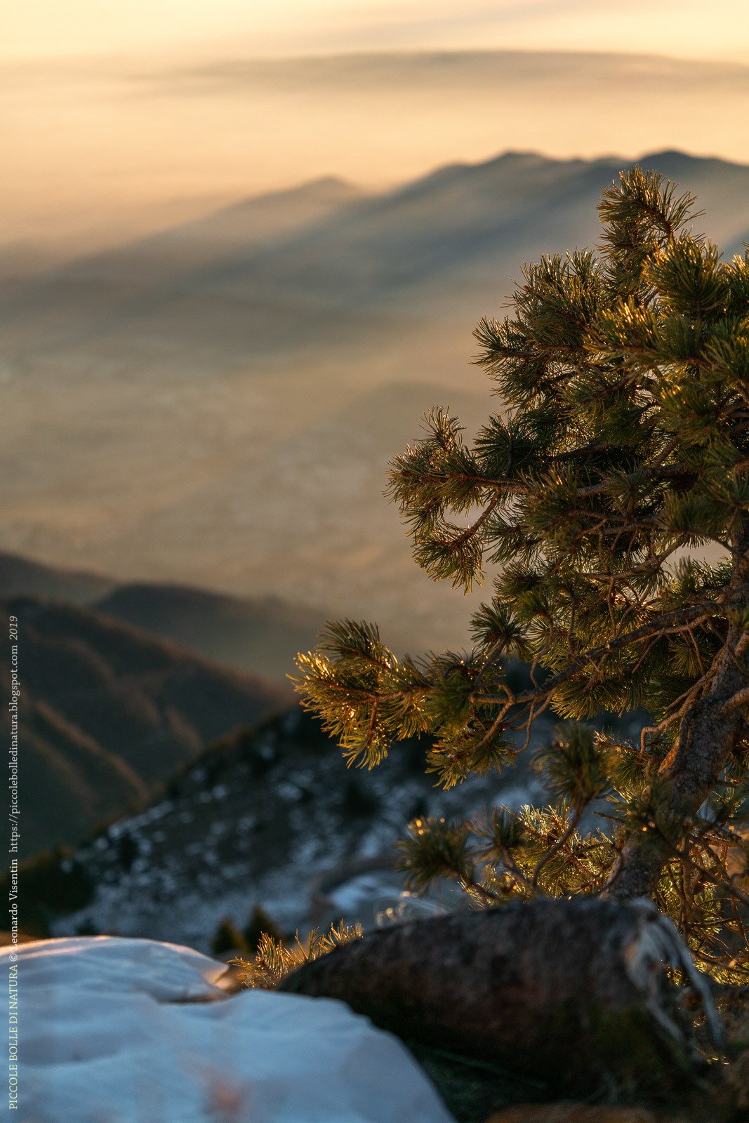 Monte Grappa