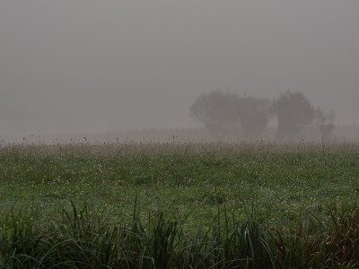 alba sul tergola