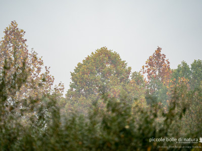 autunno