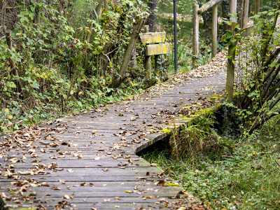passerella