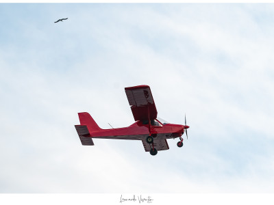 Aereo