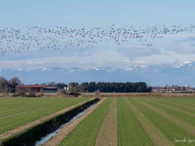 panorama e oche