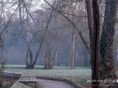 parco della palude