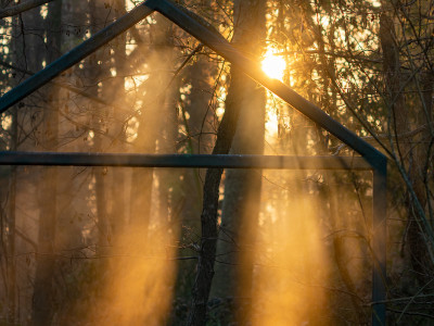 alba nel parco