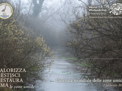 tergola