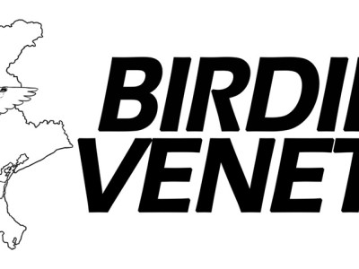 BV
