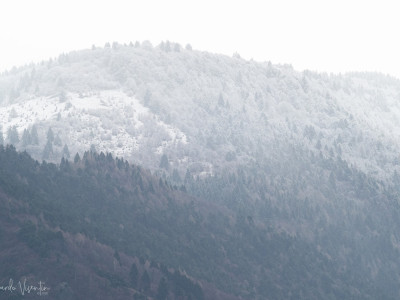 Spolverata di neve, al termine di due giorni uggiosi, preambolo di un nuovo sole?