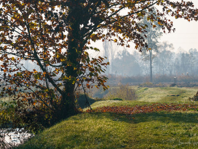 Mulino del Coppo