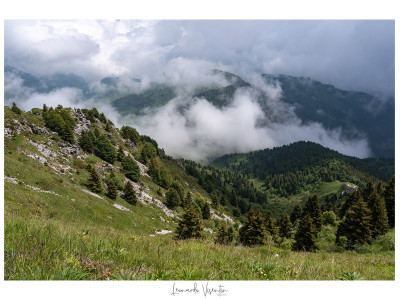 Paesaggio